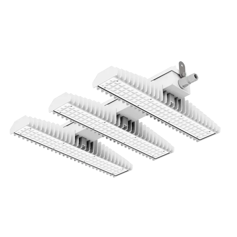 3F LEM Sport High Output