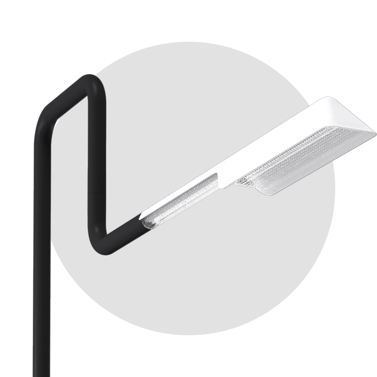 filoluce_1