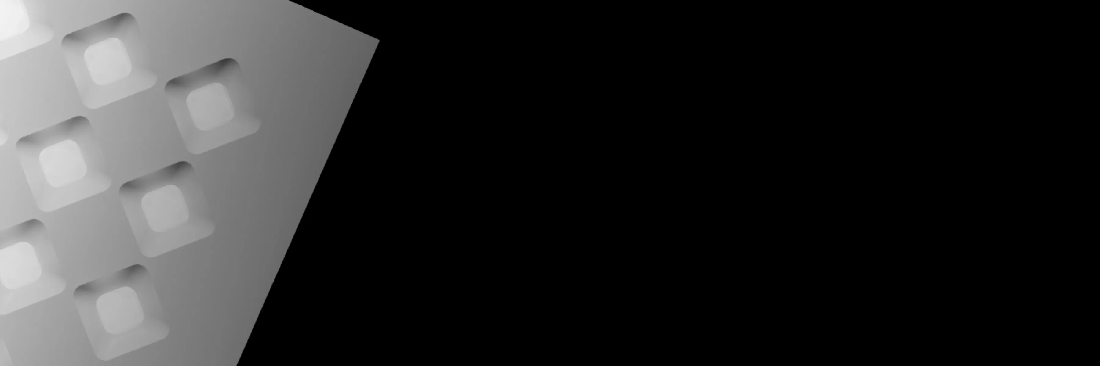 3F D&igrave;agon P