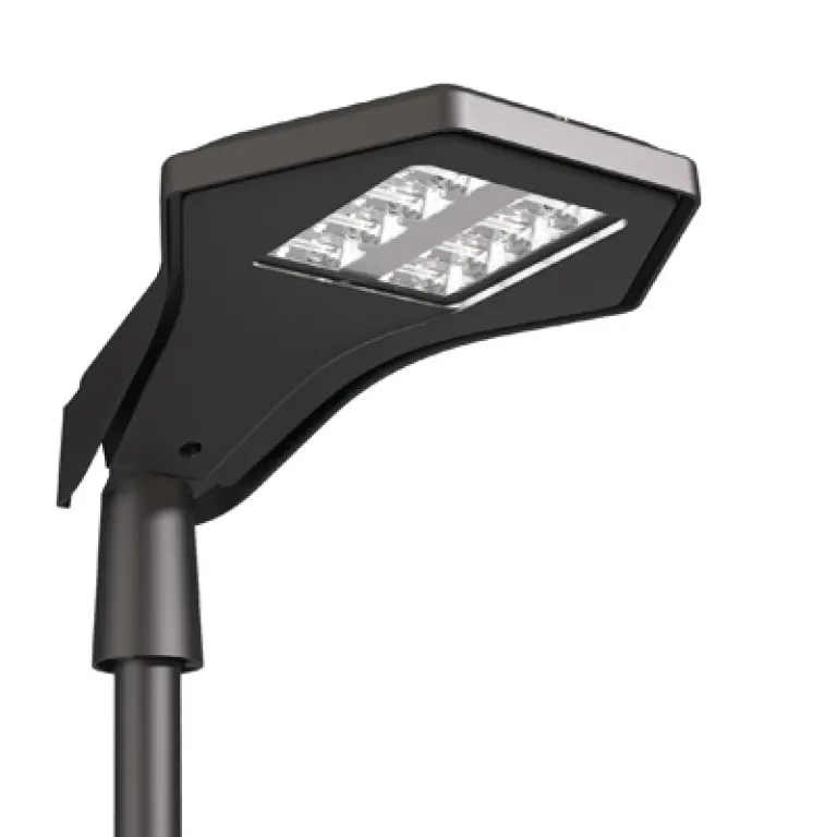 3F Manta Medio