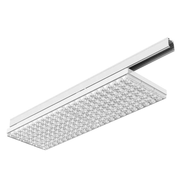 3F Six Track BAT WD